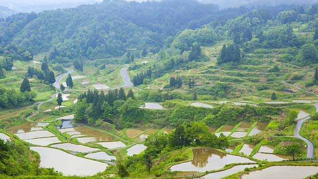 特別栽培米の産地 新潟県阿賀野市笹神地区