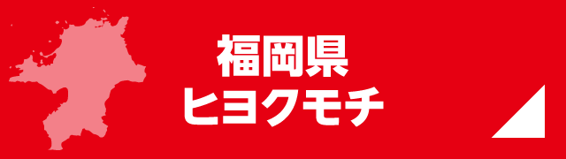 福岡県ヒヨクモチ