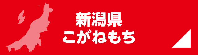 新潟県こがねもち
