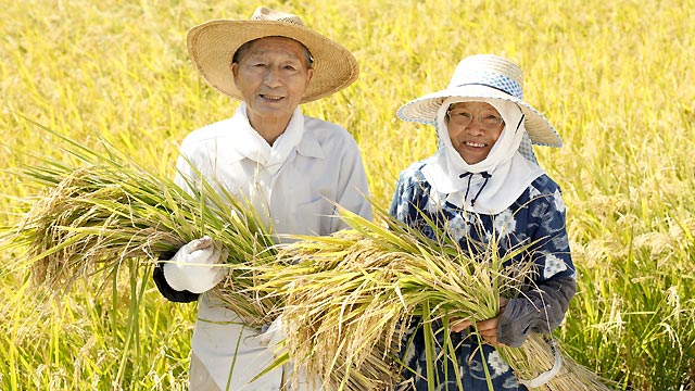 JAささかみ（新潟県）契約農家の方々